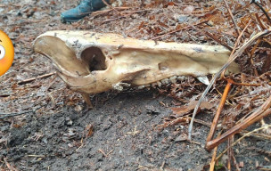 Sortie ce matin autour du Musée National de Port-Royal...