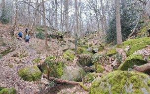 Sortie ce matin dans les vaux de Cernay...